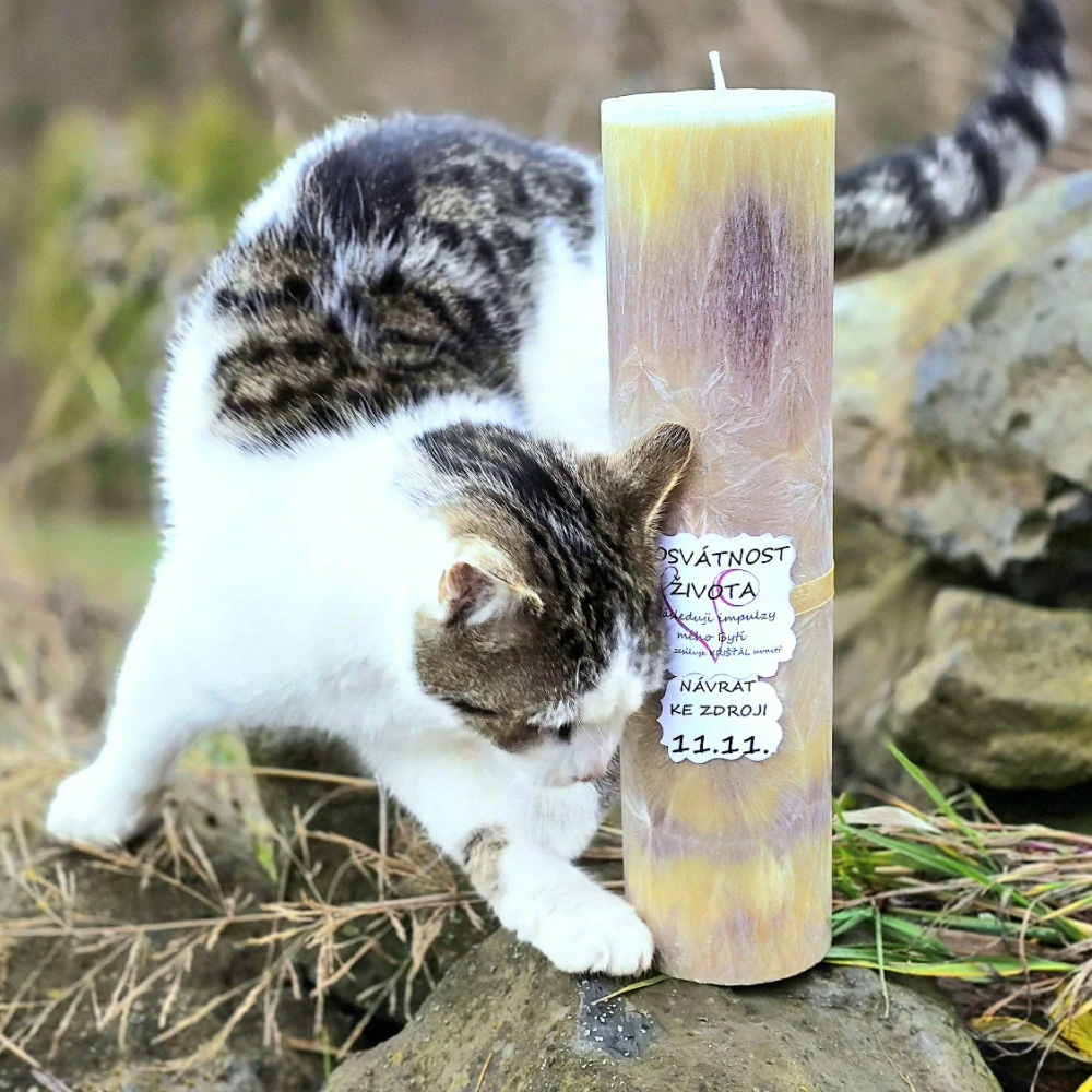 Energetická svíčka s křišťálem z 11.11. POSVÁTNOST ŽIVOTA