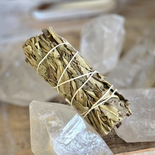 Svatá YERBA SANTA - Navibrovaný a energeticky očištěný vykuřovací svazek